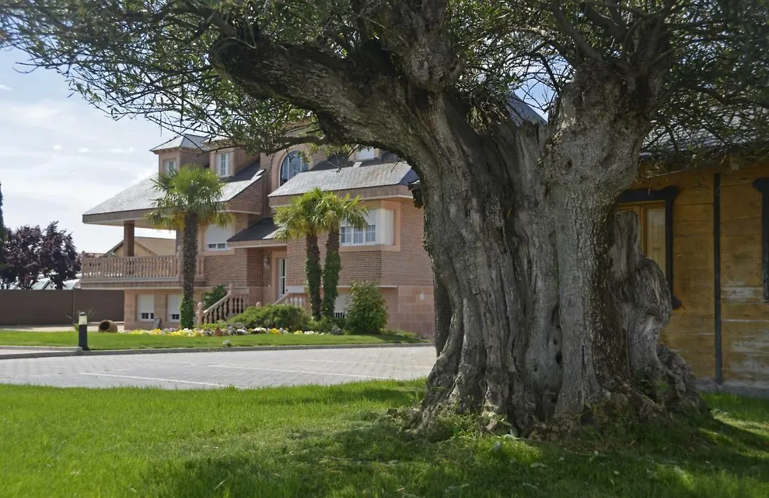 Los Olivos-1